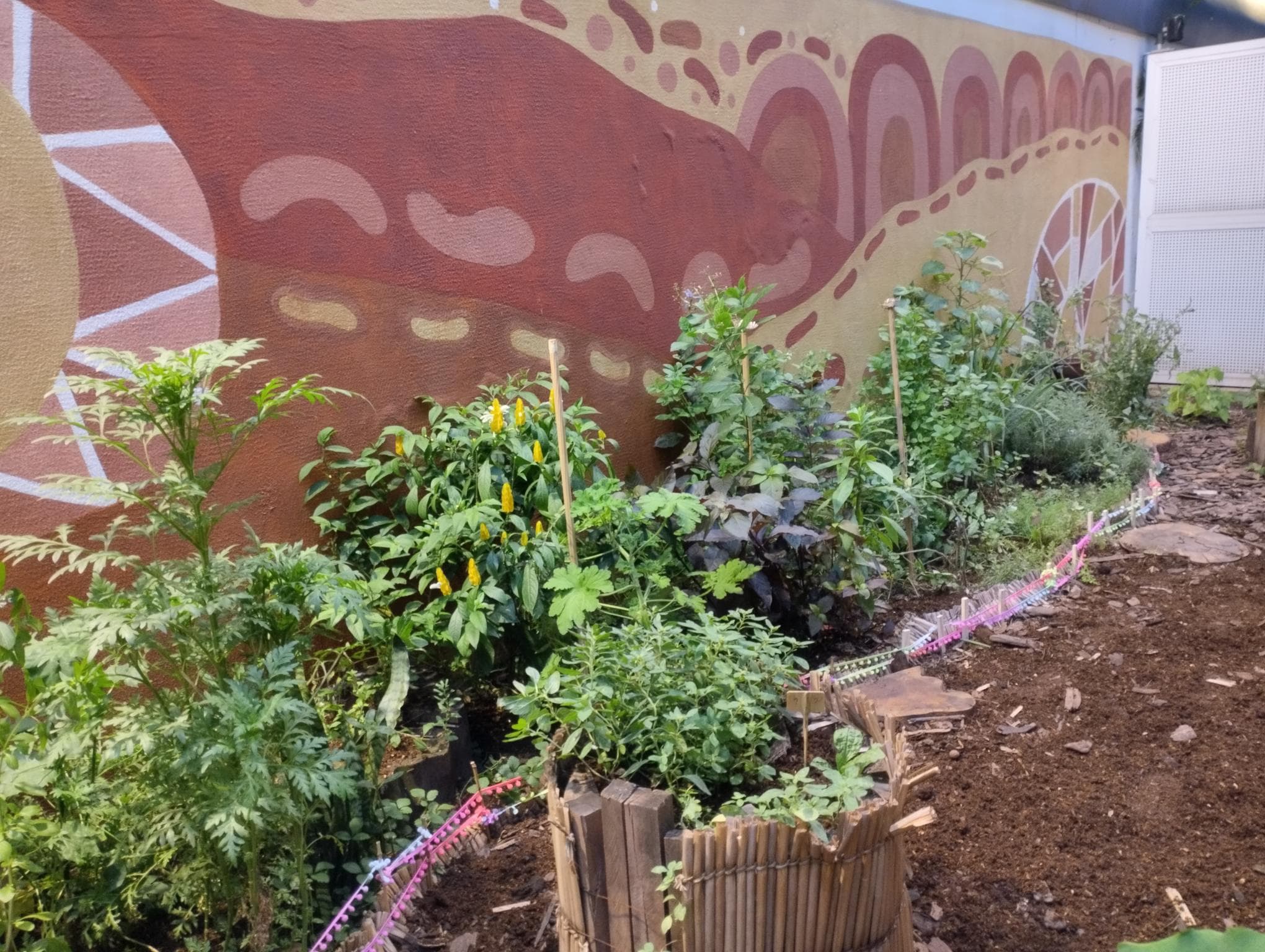 Manejo Agroecológico no Quintal Secreto